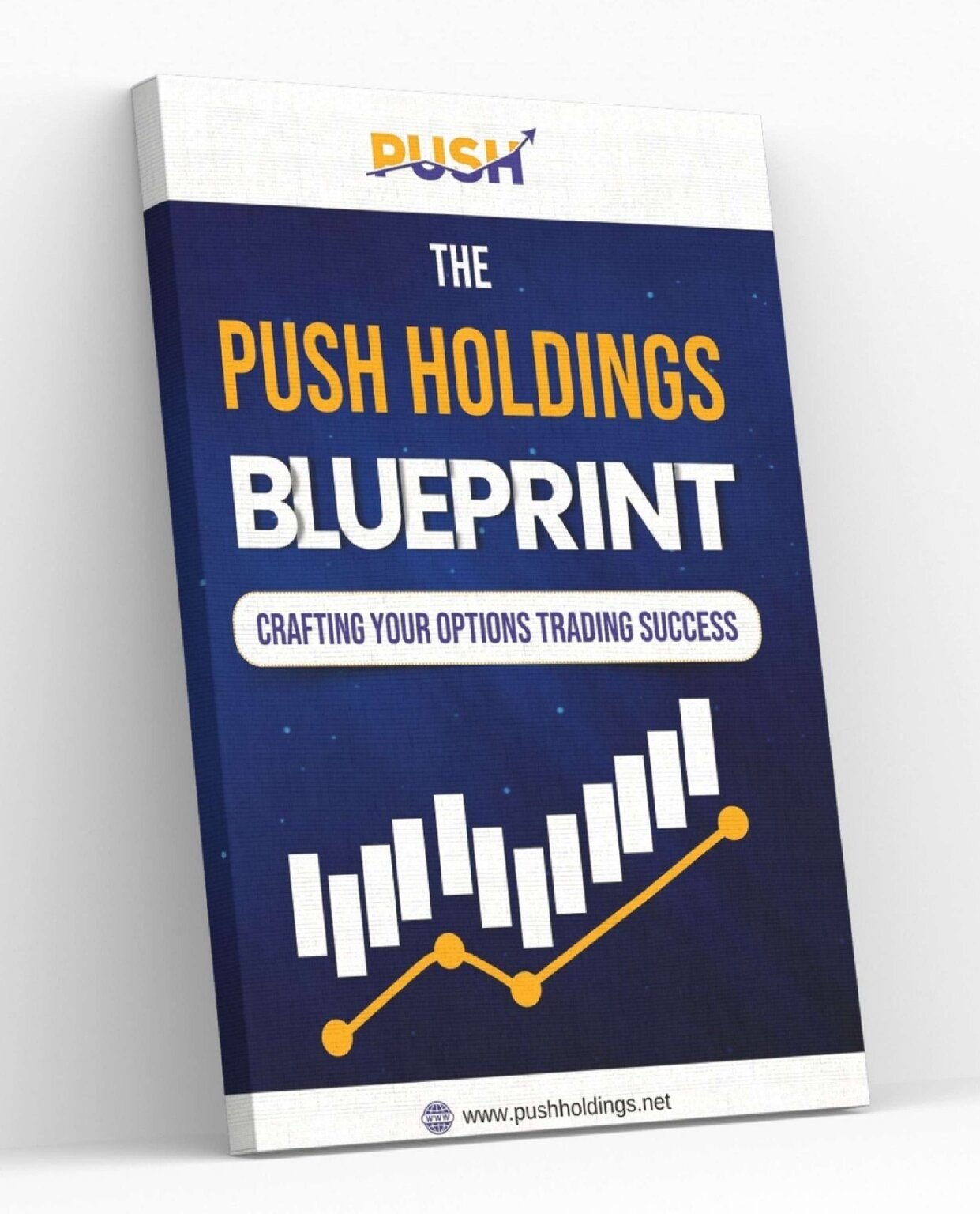 Push Investments Options Trading